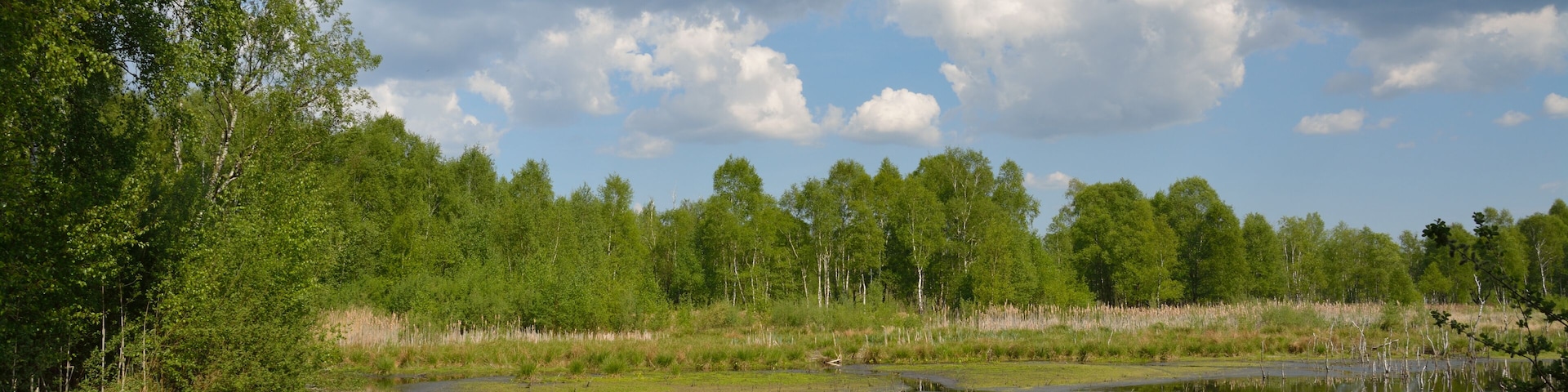 This is a picture of the protected area listed at WDPA under the ID