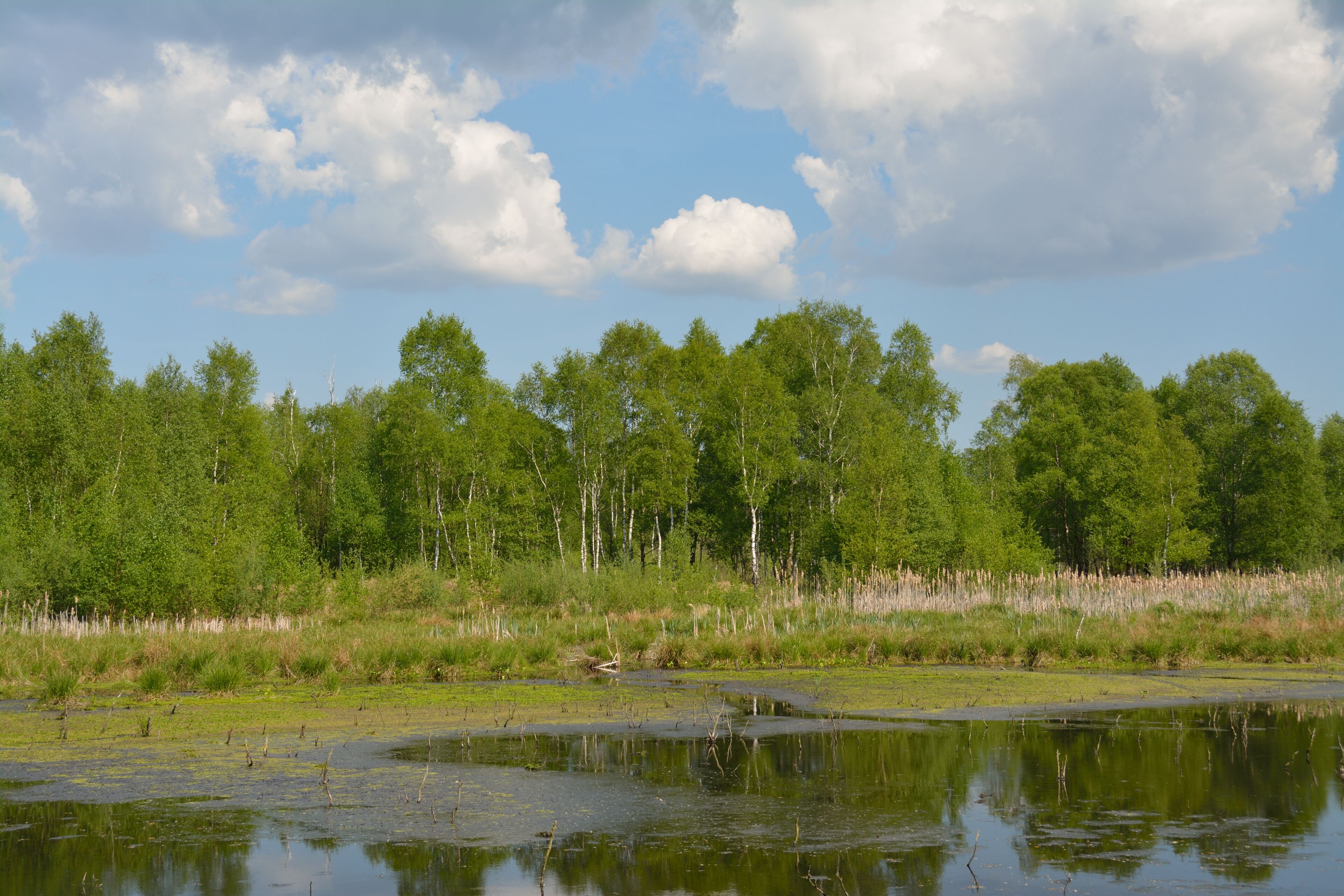 This is a picture of the protected area listed at WDPA under the ID