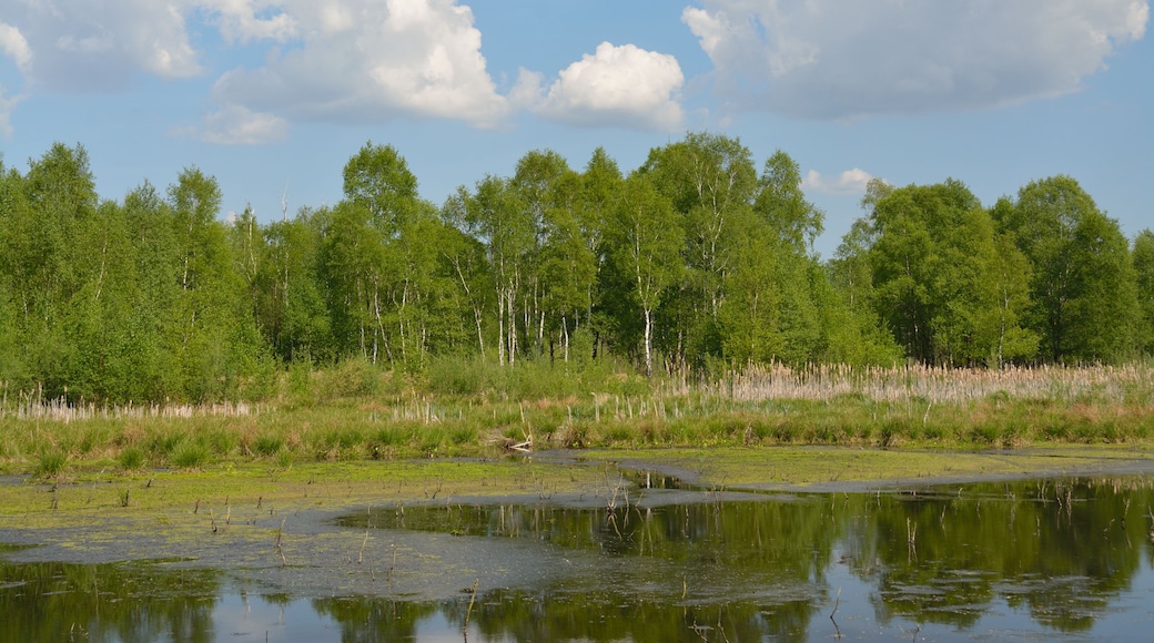 This is a picture of the protected area listed at WDPA under the ID