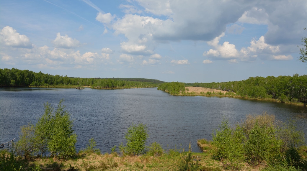 This is a picture of the protected area listed at WDPA under the ID