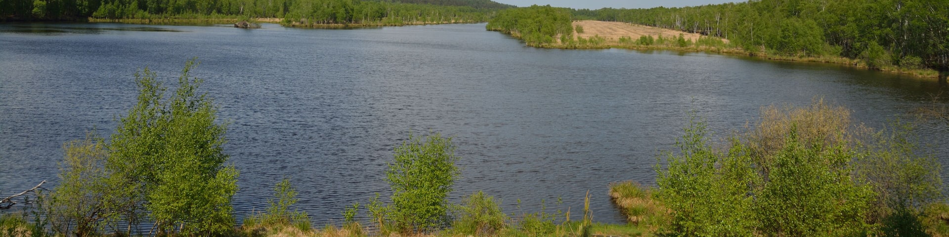 This is a picture of the protected area listed at WDPA under the ID