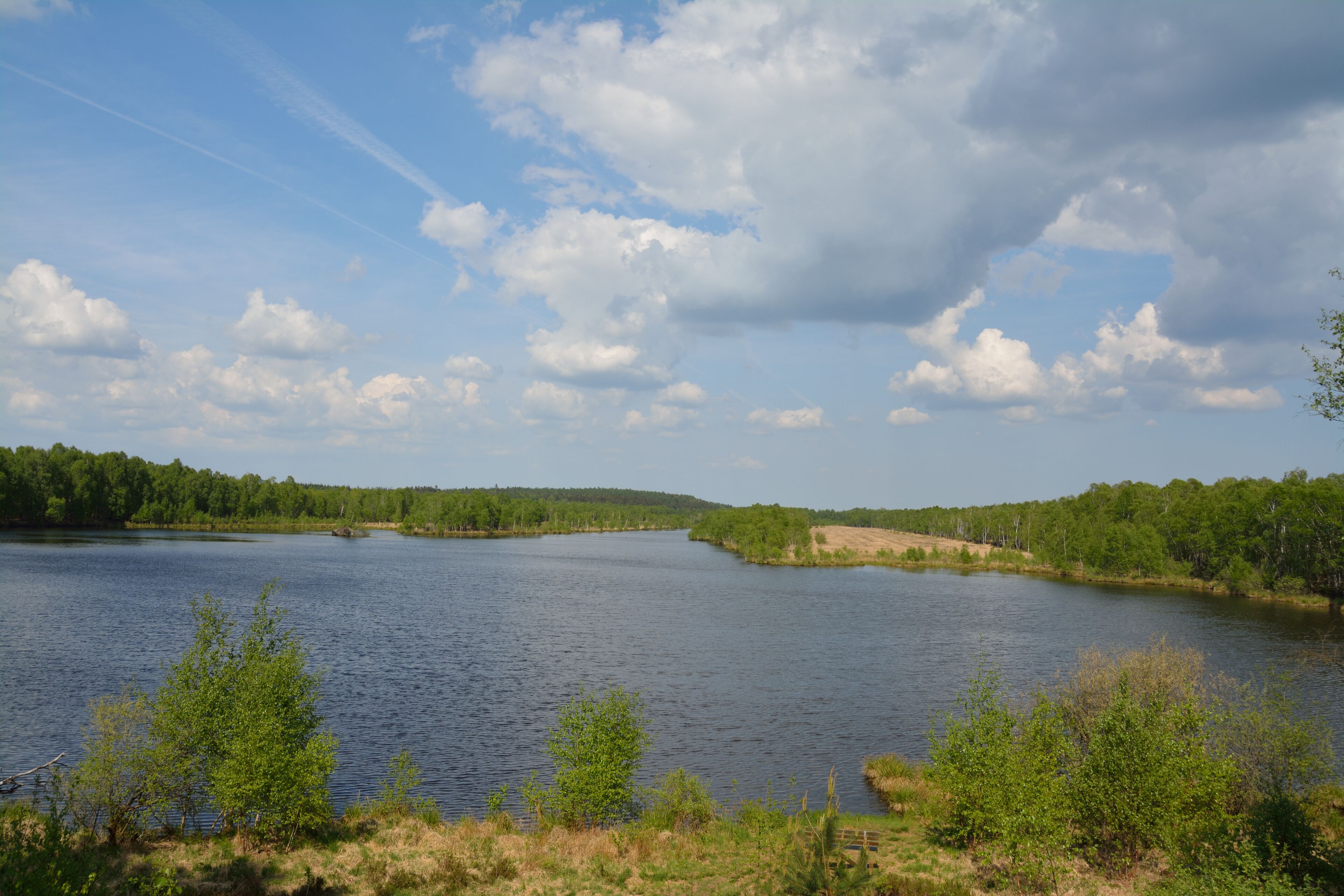 A calm lake surrounded by dense forests and a clear sky with scattered clouds.