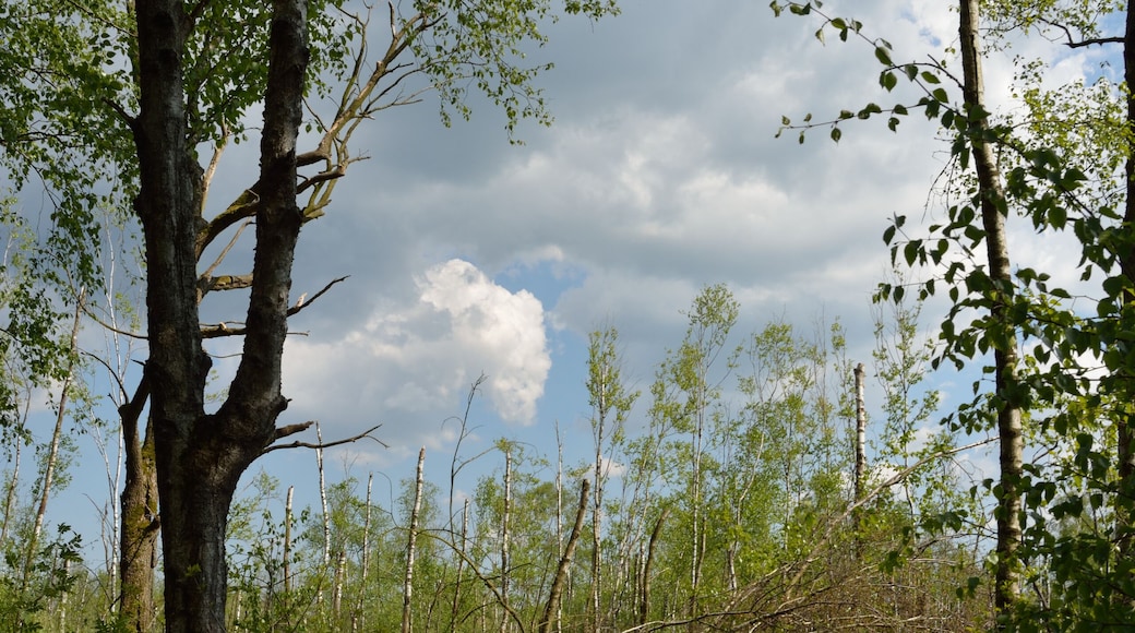 This is a picture of the protected area listed at WDPA under the ID