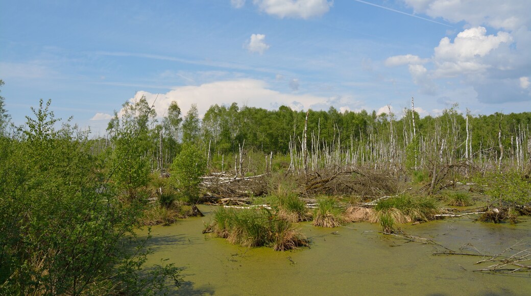 This is a picture of the protected area listed at WDPA under the ID