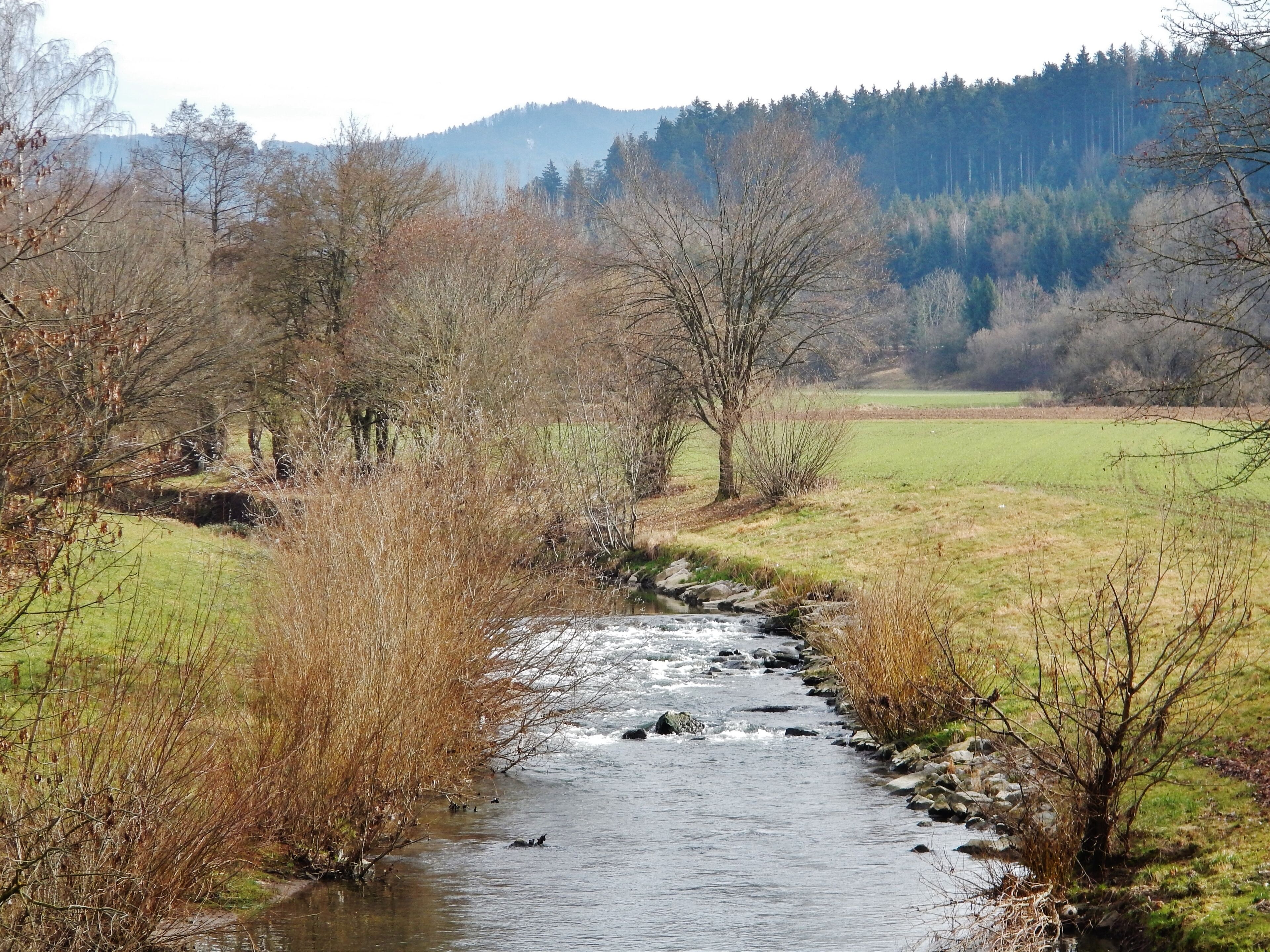 Der Fluss Eyach bei Haigerloch-Owingen