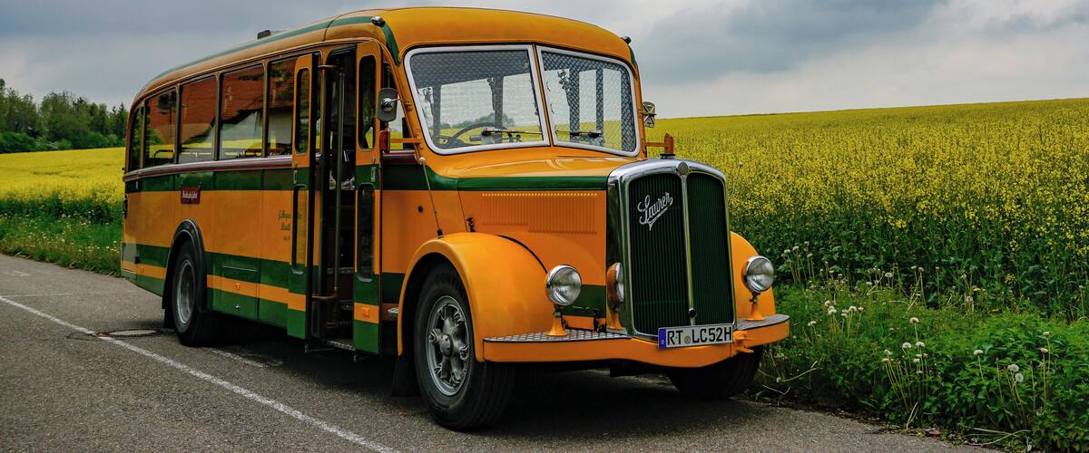 An orange vintage bus parked on a road with a field of yellow flowers in the background.