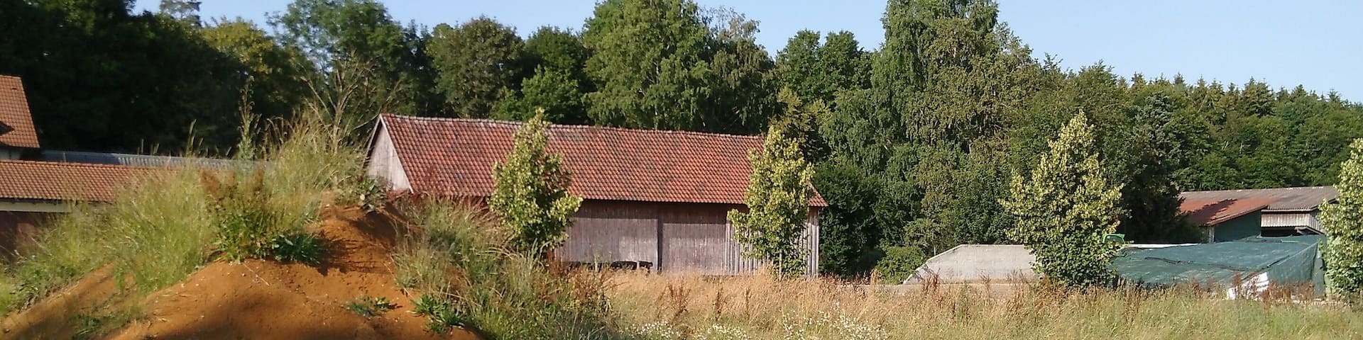 Bean ores at Haid, between de:Trochtelfingen and de:Engstingen , East of de:BundesstraĂe 313 at at pile of excavated earth.