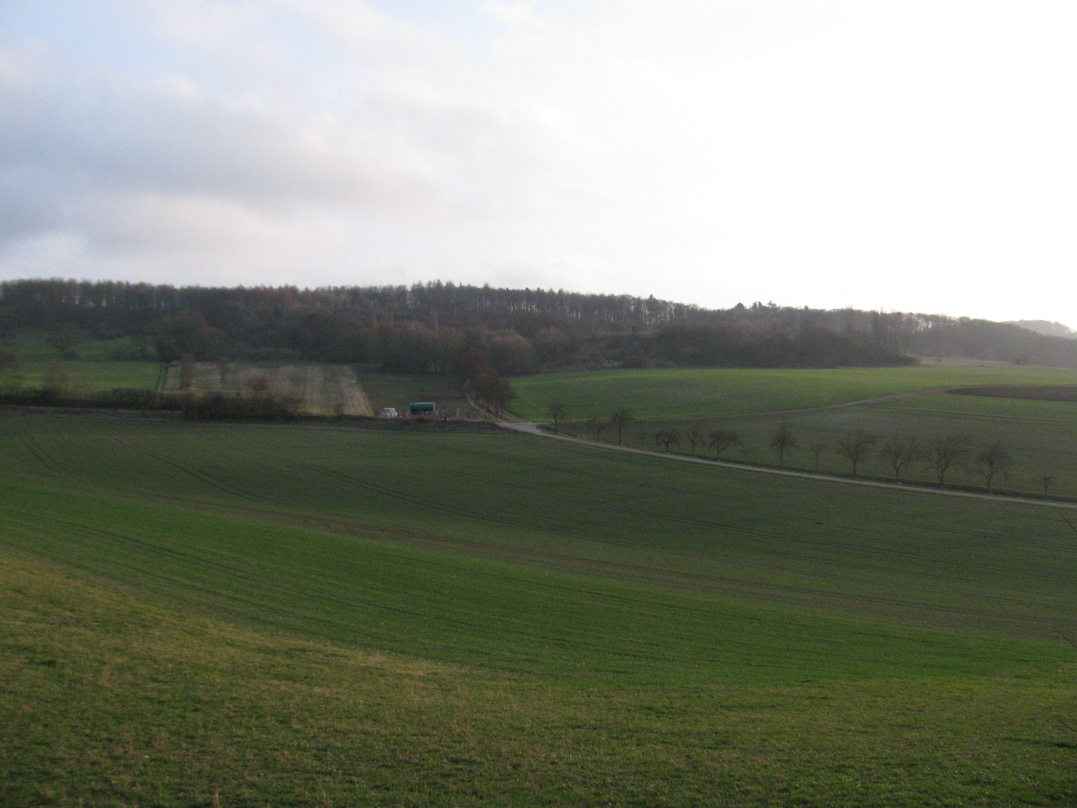 der Bach Kressenborn in der Feldmark südöstlich von Dörnberg