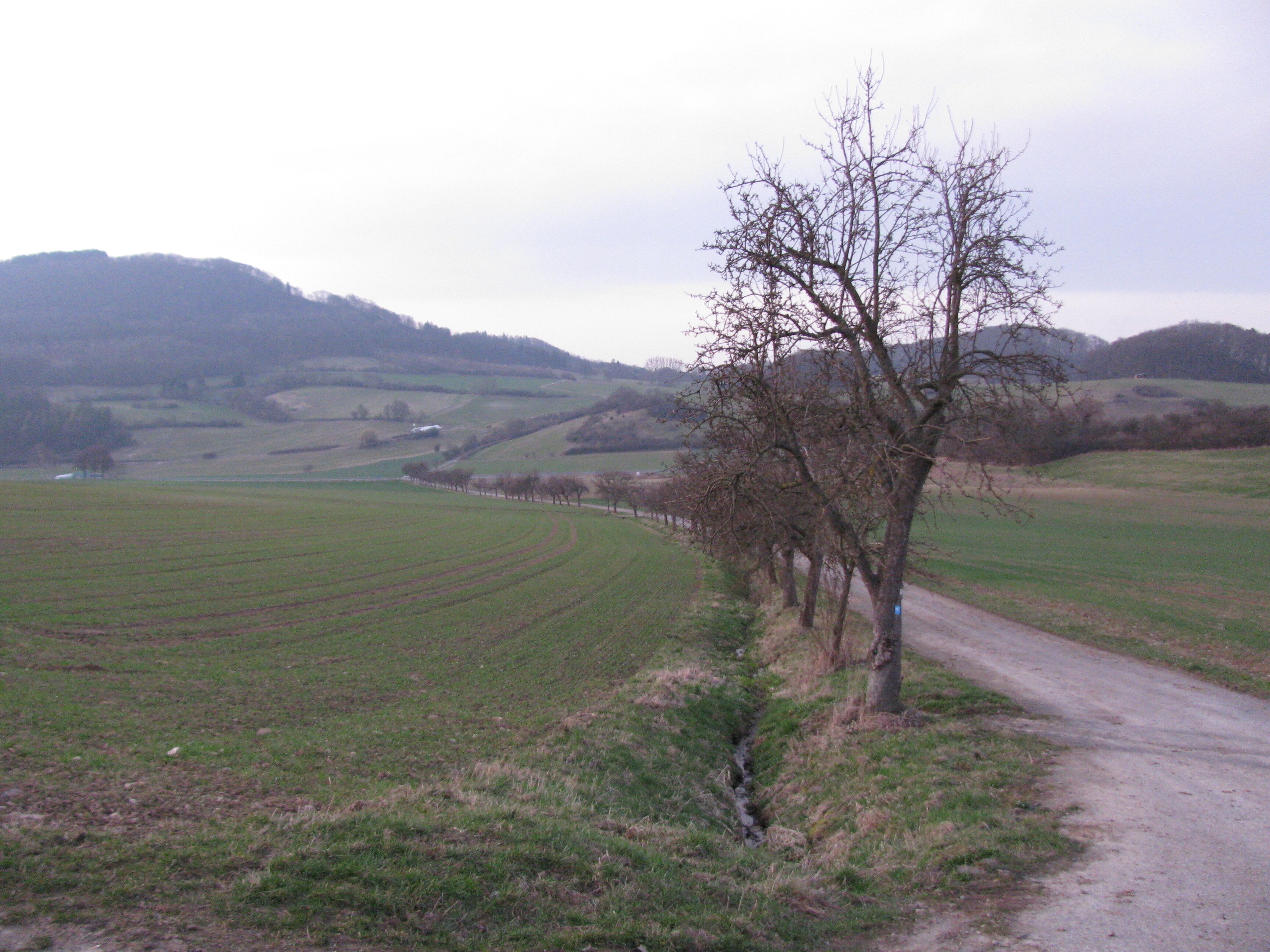 der Bach Kressenborn in der Feldmark südöstlich von Dörnberg