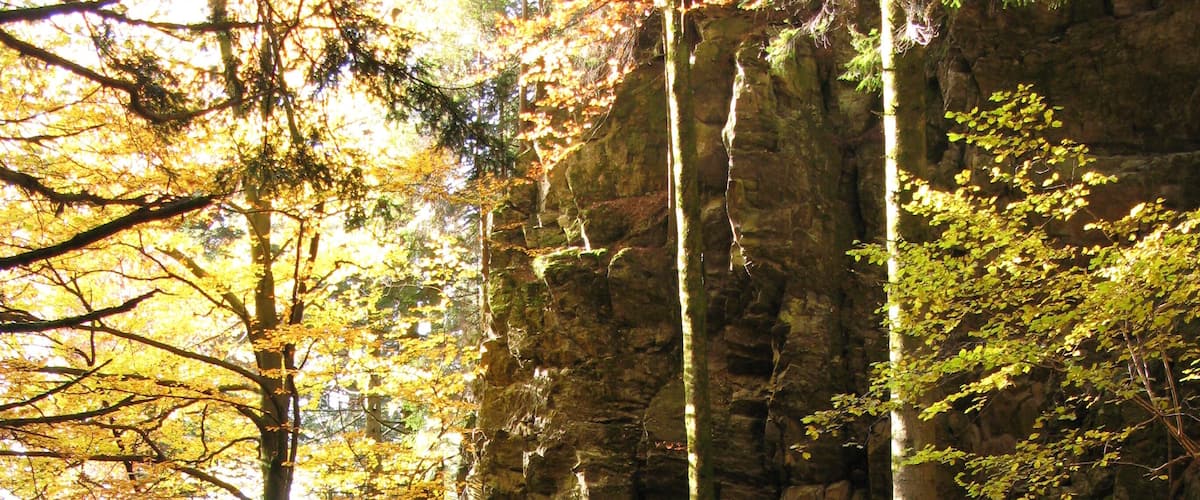 Felsen in der Teichschlucht am Zweitälersteig im Simonswäldertal im Schwarzwald.
