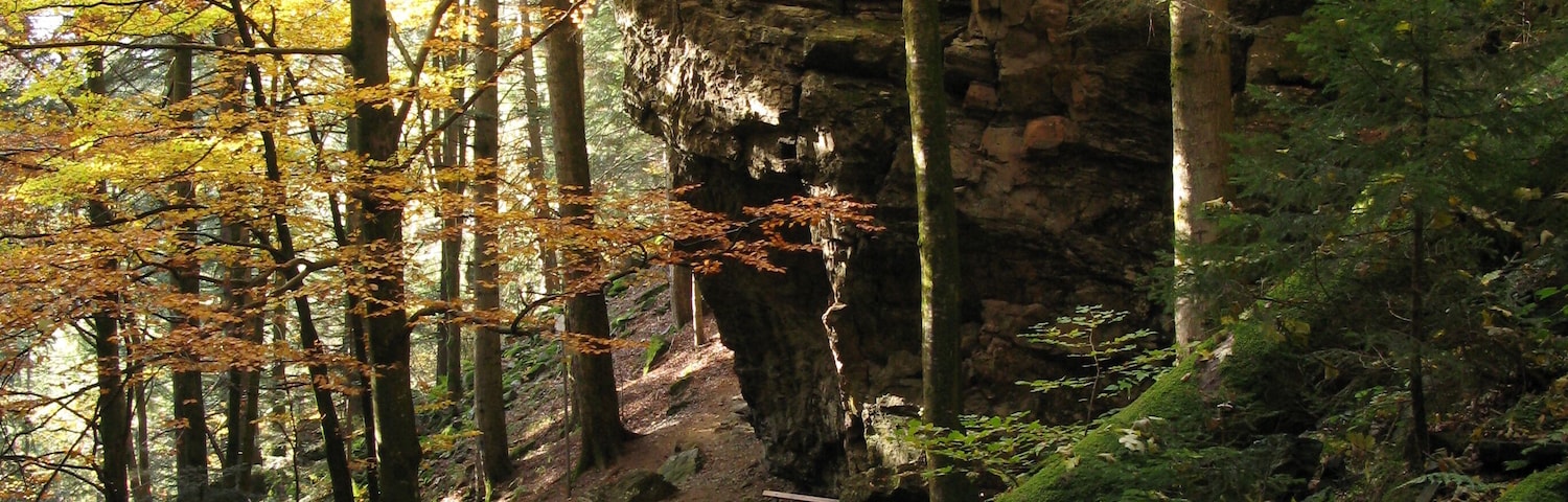 Felsen in der Teichschlucht am ZweitÀlersteig im SimonswÀldertal im Schwarzwald.