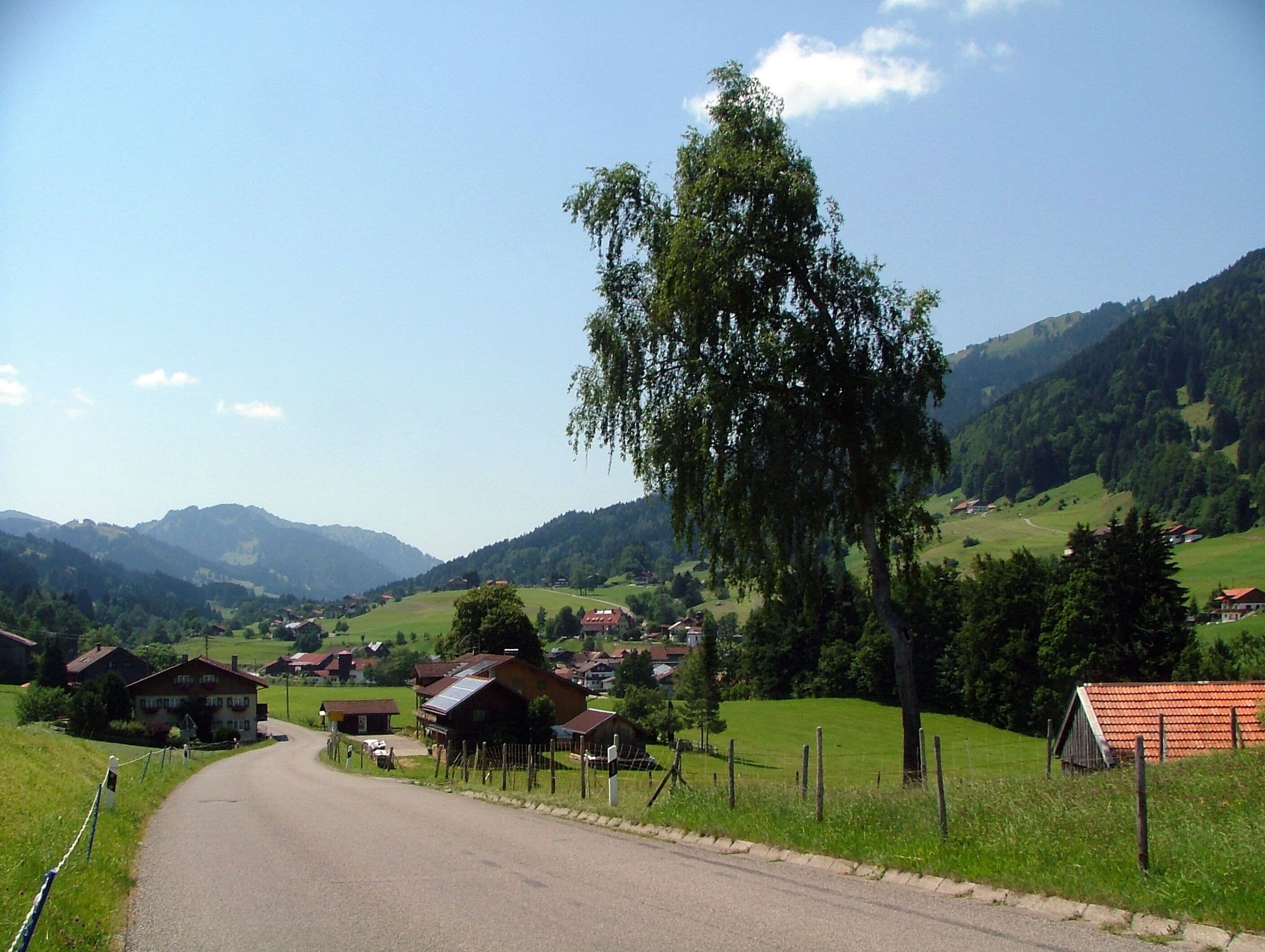 A rural road winding through a valley with houses and a large tree on the right.