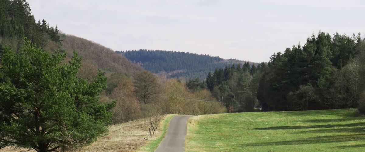 A rural road flanked by trees and open fields, leading towards a hill.