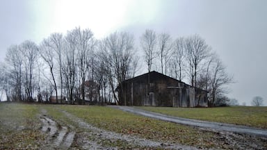A rural landscape with a barn, a dirt road, and leafless trees.
