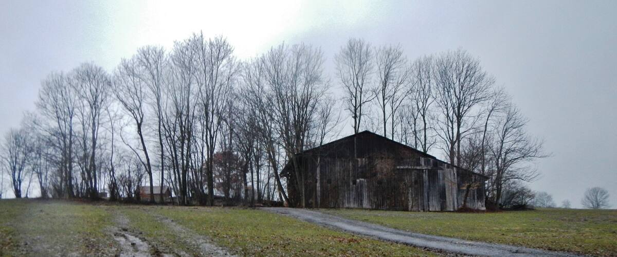 A rural landscape with a barn, a dirt road, and leafless trees.