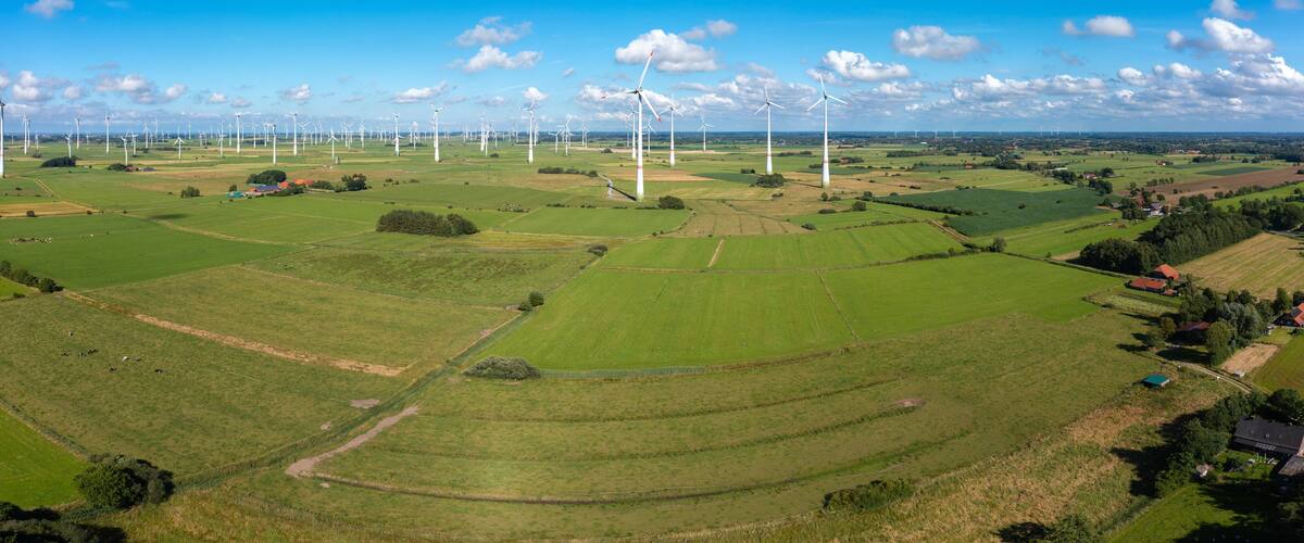 A wind farm with multiple wind turbines in a green landscape.