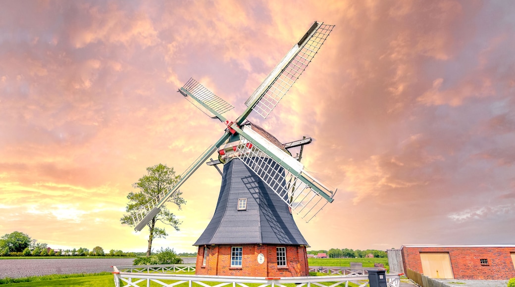 Erdholländer, Großheide, Ostfriesland, Deutschland