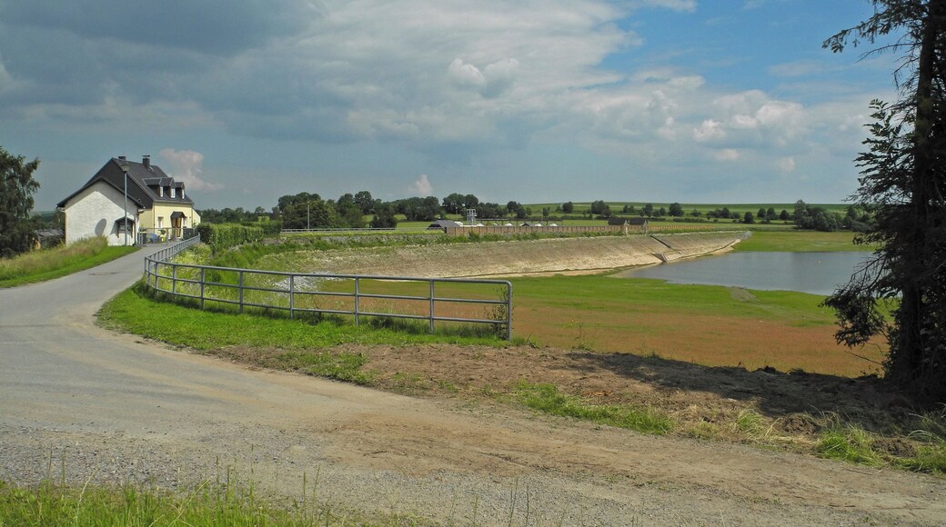 Revierwasserlaufanstalt Freiberg: Oberer Großhartmannsdorfer Teich in der Gemeinde Großhartmannsdorf