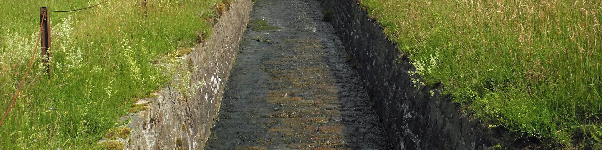 Revierwasserlaufanstalt Freiberg: Abfluss des Saidenbachs am Obersaidaer Teich in der Gemeinde Obersaida, OT von Großhartmannsdorf