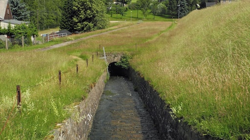 Revierwasserlaufanstalt Freiberg: Abfluss des Saidenbachs am Obersaidaer Teich in der Gemeinde Obersaida, OT von Großhartmannsdorf