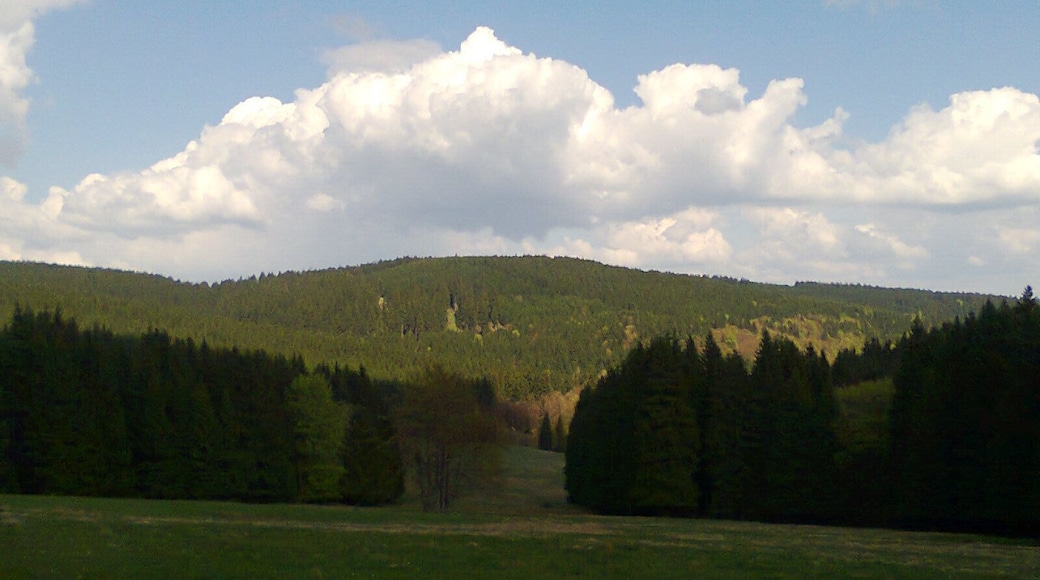 Der Reischelberg bei Neustadt am Rennsteig