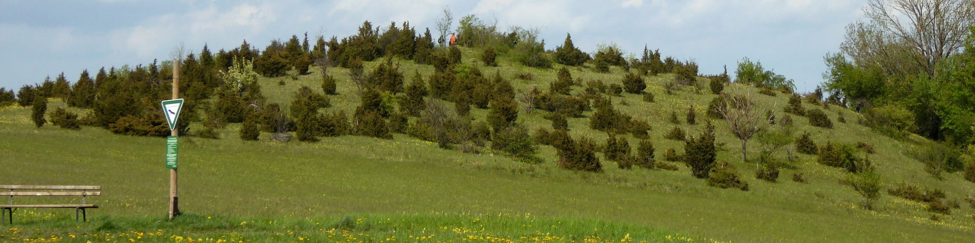 Blick von Westen auf das Naturschutzgebiet BĂŒhlchen bei WeiĂenbach am Hohen MeiĂner, Werra-MeiĂner-Kreis, Nordhessen.