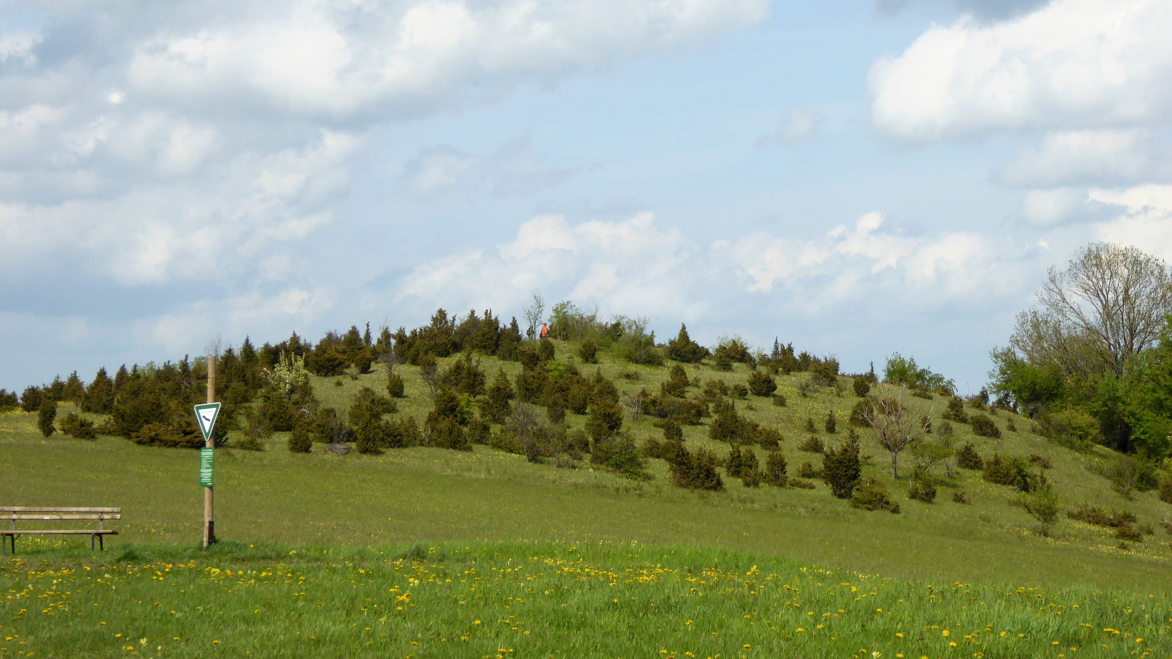 A grassy field with a warning sign, a wooden bench, and a hill with trees.
