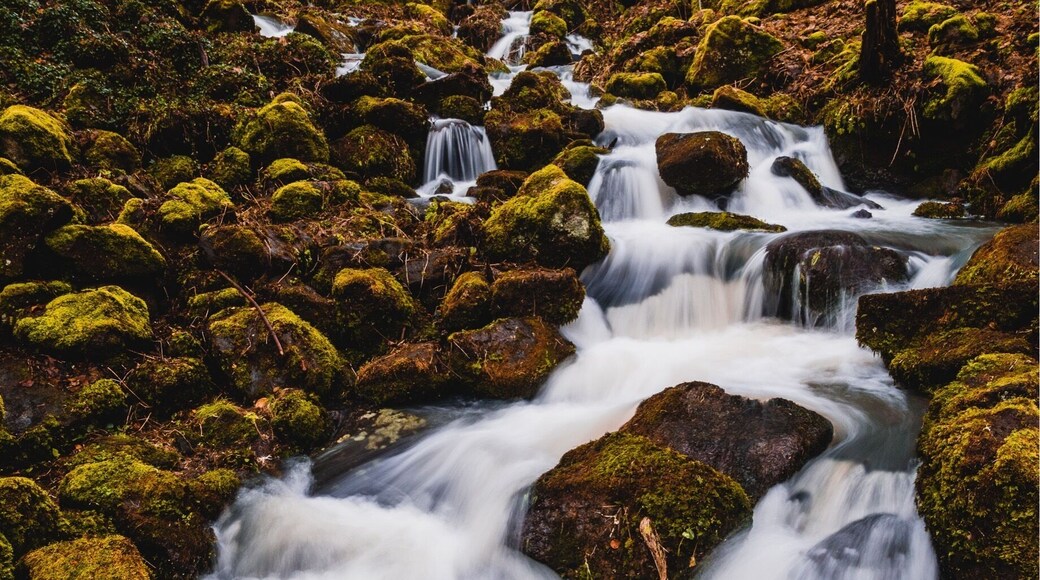 Wasserfall Nähe Nenderoth. Am Ortsausgang Richtung Schützenhaus, dann schon ausgeschildert.