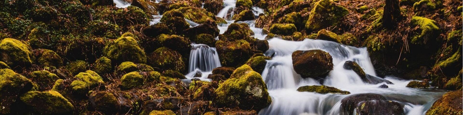 Wasserfall Nähe Nenderoth. Am Ortsausgang Richtung Schützenhaus, dann schon ausgeschildert.