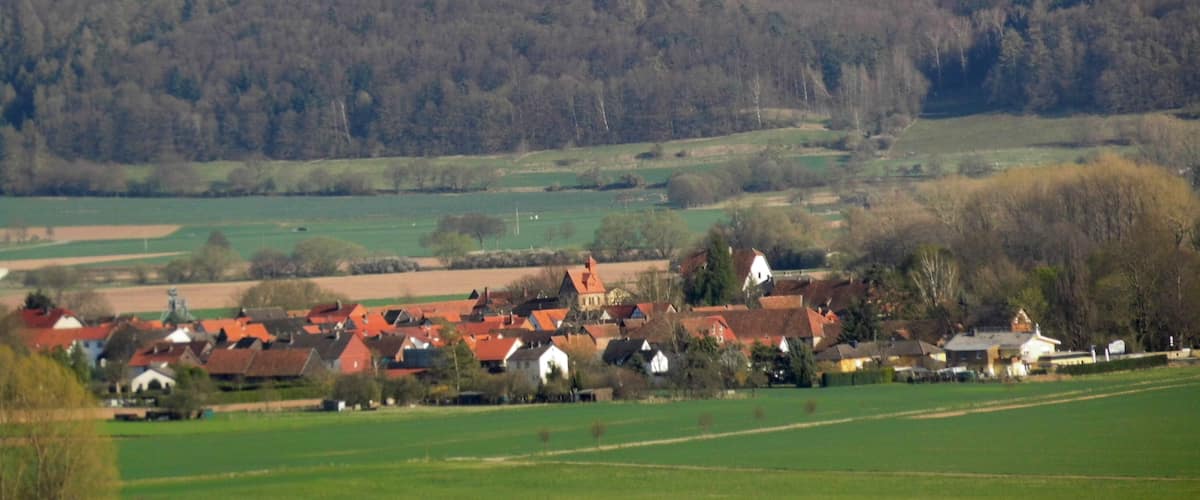 A rural village with red-roofed houses, surrounded by green fields and a forested hill in the background.
