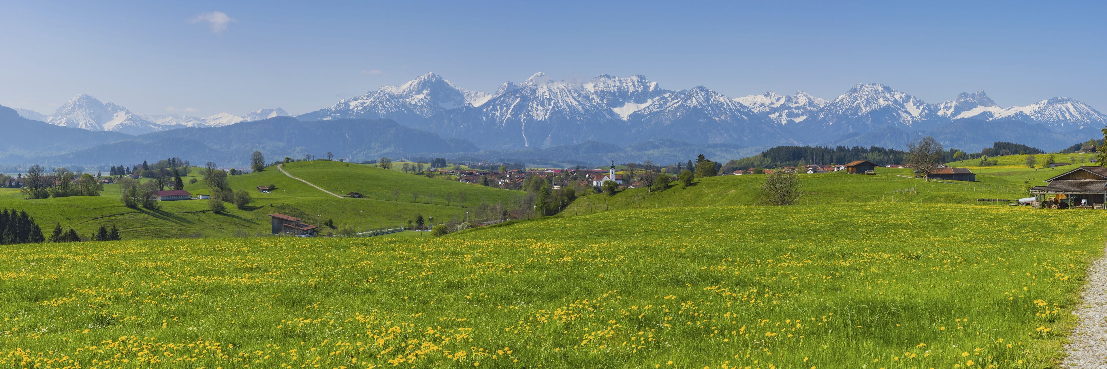 A green field with yellow flowers, a small village, and snow-capped mountains in the background.