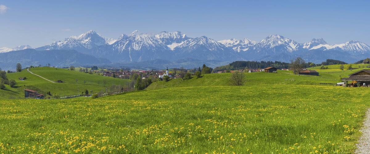 A green field with yellow flowers, a small village, and snow-capped mountains in the background.