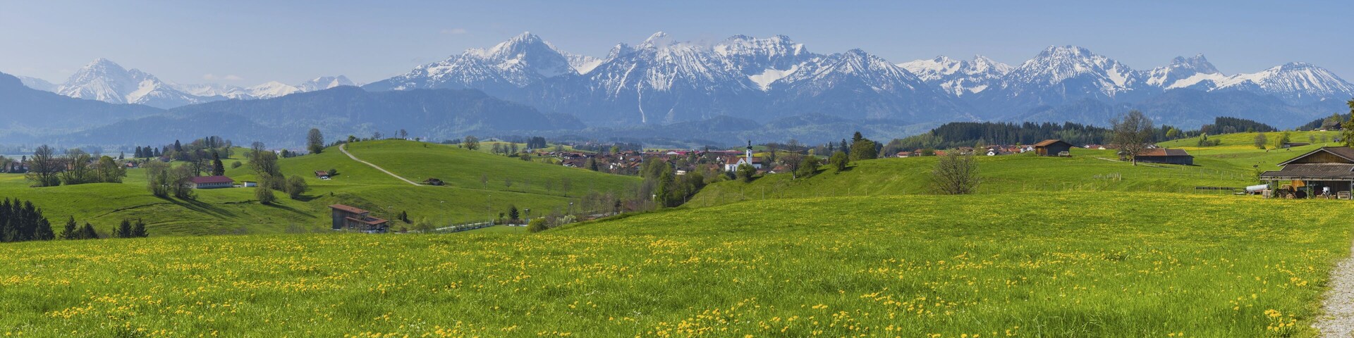 A green field with yellow flowers, a small village, and snow-capped mountains in the background.