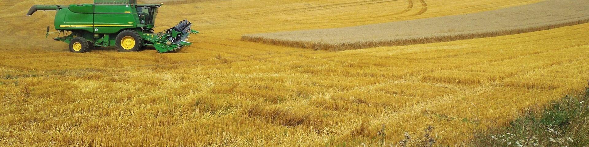 Die Ernte wird eingeholt. Erntezeit-Impressionen im Kyffhäuserkreis zwischen Hachelbich und Göllingen.