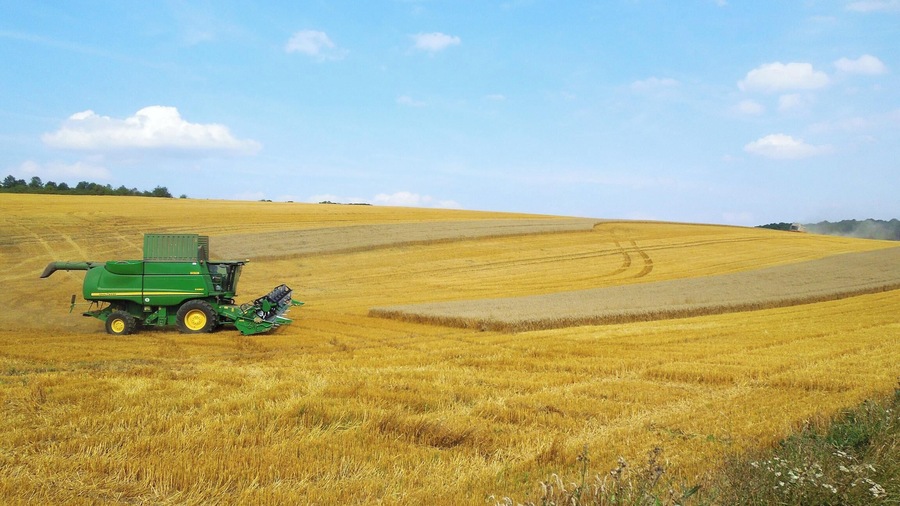 A green combine harvester in a golden wheat field with rolling hills in the background.