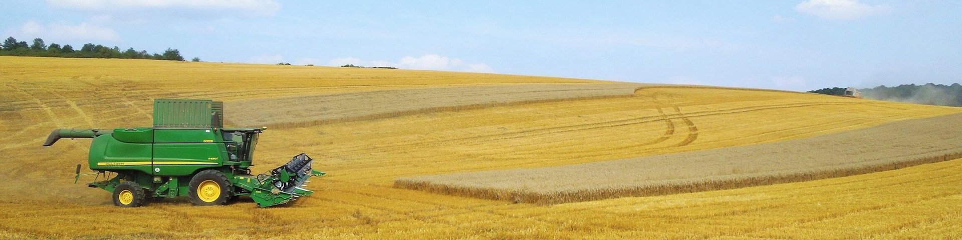 Die Ernte wird eingeholt. Erntezeit-Impressionen im Kyffhäuserkreis zwischen Hachelbich und Göllingen.