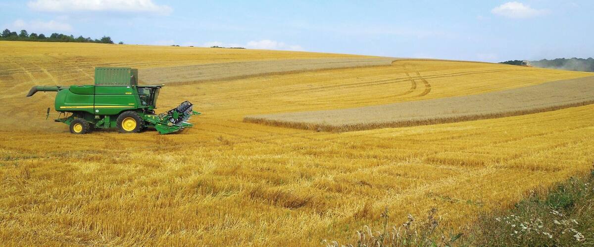 A green combine harvester in a golden wheat field with rolling hills in the background.