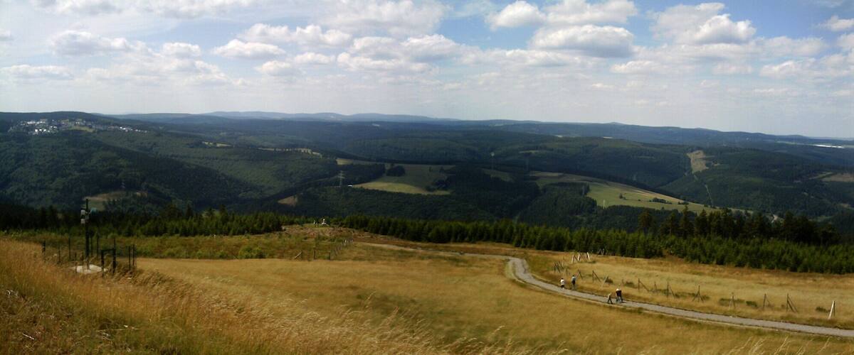 A winding road through a hilly landscape with patches of forest and open fields.