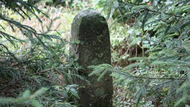 Rennsteig Abschnitt Saarzipfel – Hohe Heide Landesgrenzstein 69