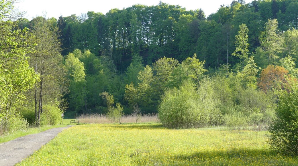 Kupferbachtal zwischen Spielberg und Frauenreuth, Bayern