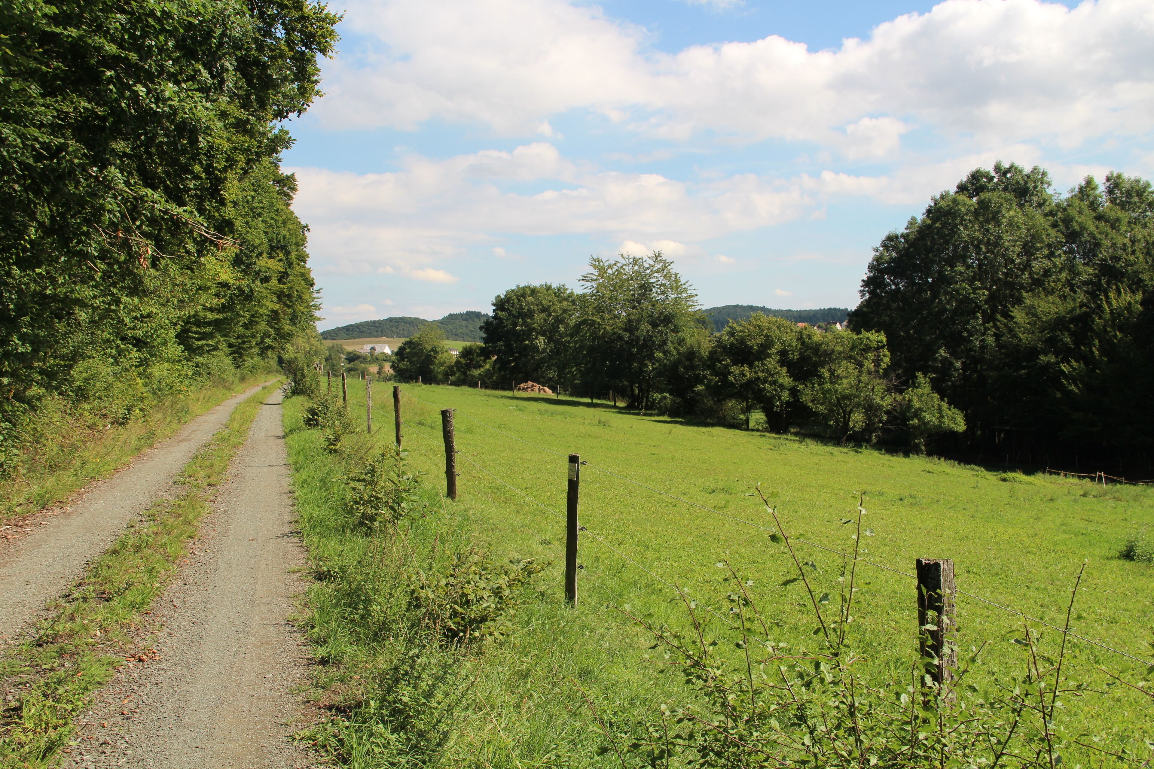 Feldweg parallel zur Allna flussabwärts Richtung Bellnhausen