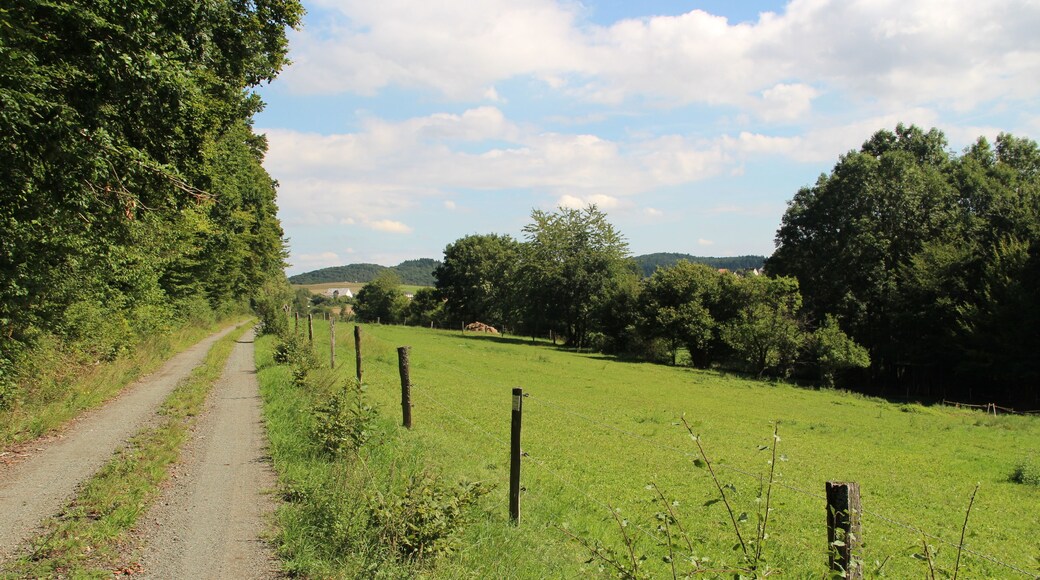 Feldweg parallel zur Allna flussabwärts Richtung Bellnhausen