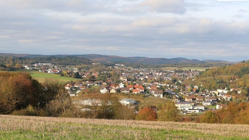 Gladenbach von Süden im Oktober 2014