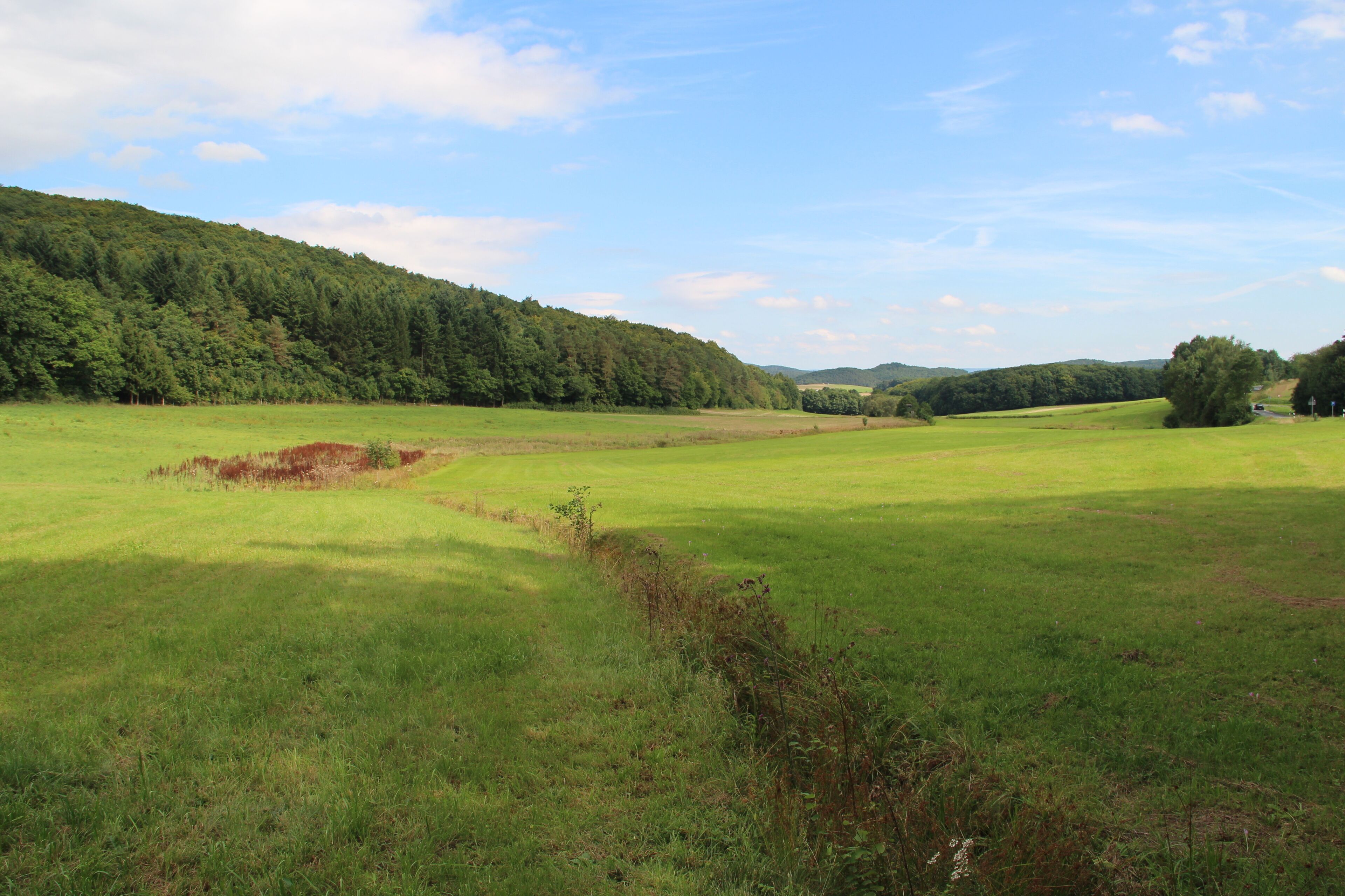 Die Allna zwischen Bundesstraße 453 und Bellnhausen