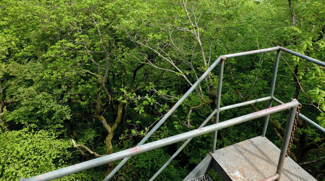 Blick von der Aussichtsplattform nach Norden in Richtung Weidenhausen