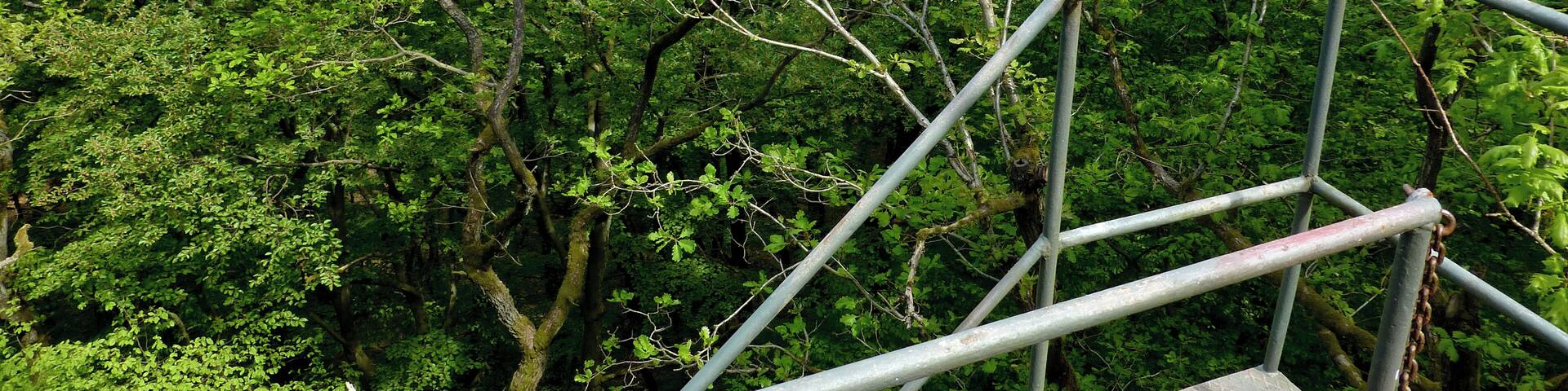 A metal staircase surrounded by dense green foliage and a distant view of a town.