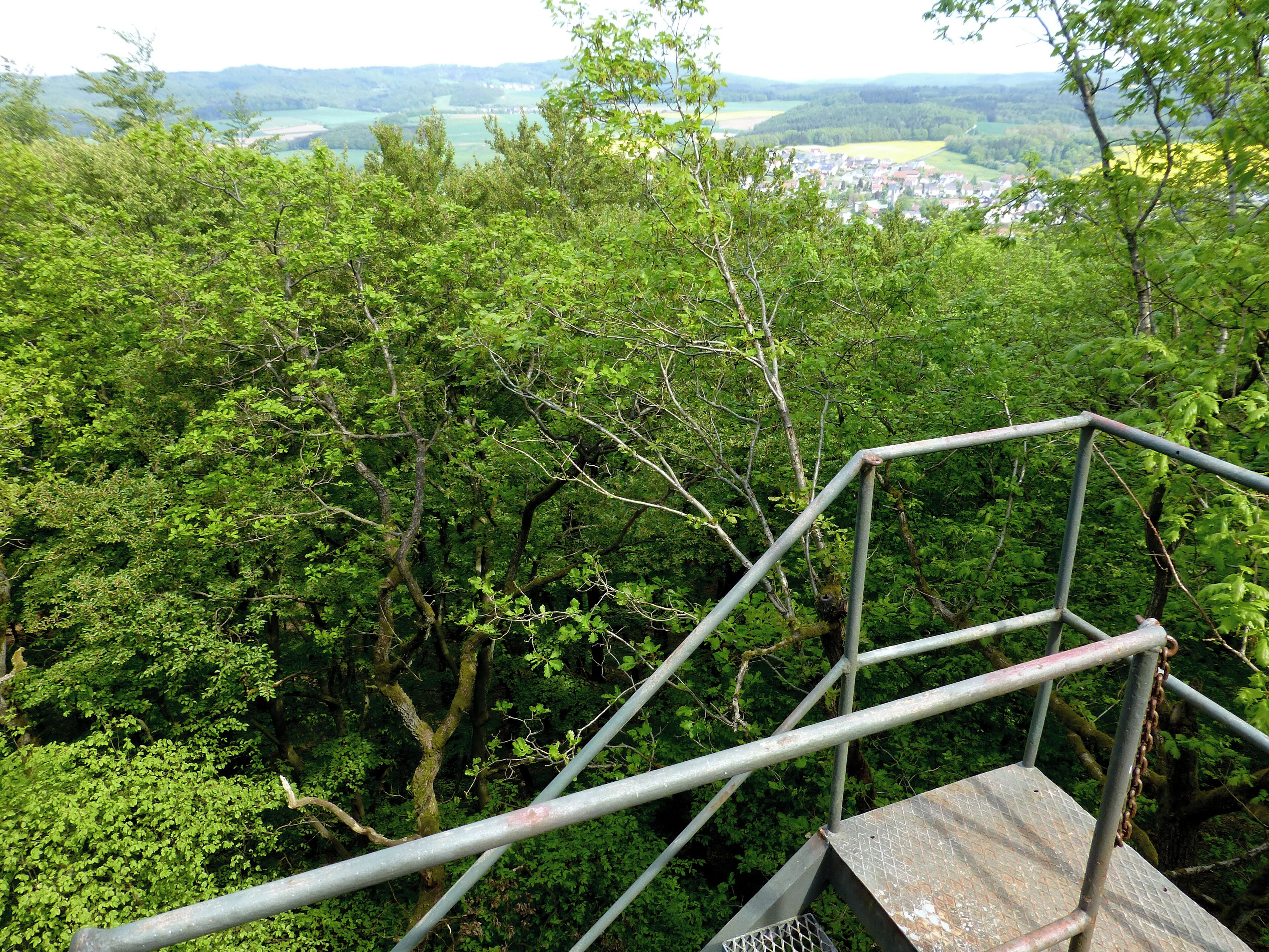 A metal staircase surrounded by dense green foliage and a distant view of a town.