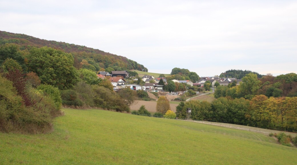 Siehe Dateiname, Bild und Koordinaten