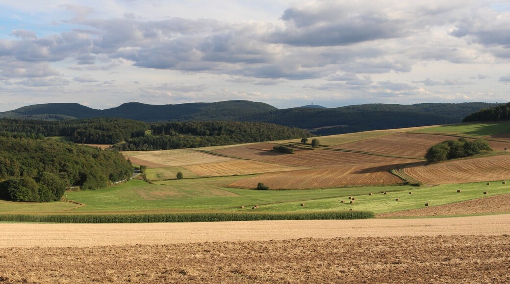 Standort ist etwa in der Nähe dieser Aufnahme File:Dreisberg-Koppe-Hemmerich-Dünsberg-Platte.jpg. Siehe dort für die Beschreibung.