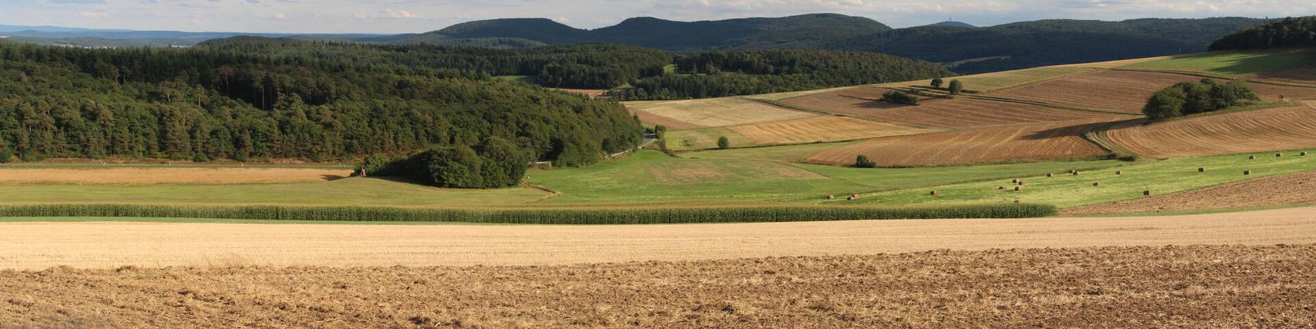 Standort ist etwa in der Nähe dieser Aufnahme File:Dreisberg-Koppe-Hemmerich-Dünsberg-Platte.jpg. Siehe dort für die Beschreibung.